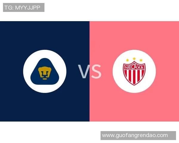 内卡萨与美洲狮最新动态分析及比赛前瞻详解